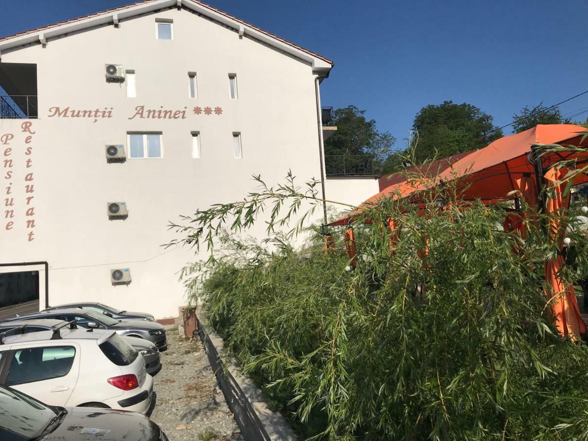Pensiune Muntii Aninei Anina Eksteriør billede